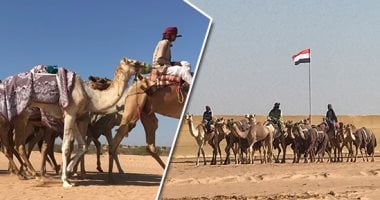 حكاية راكب الهجن الآلى.. جهاز يثبت على ظهر الجمل لقيادته آليا فى السباق.. أصبح شرطا للتنافس فى الميادين وعمره فى مصر 4 سنوات.. ثمنه 12 ألف جنيه وتوفيره أتاح فرص عمل لكثير من الشباب.. ولكل جمل قدرة تحمل
